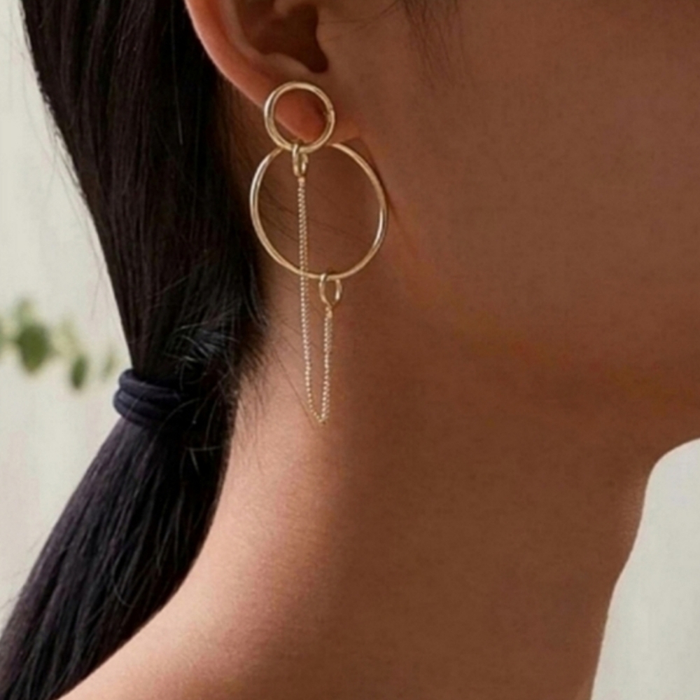 Anthropologie Front Back Double Hoop Chain Earrings